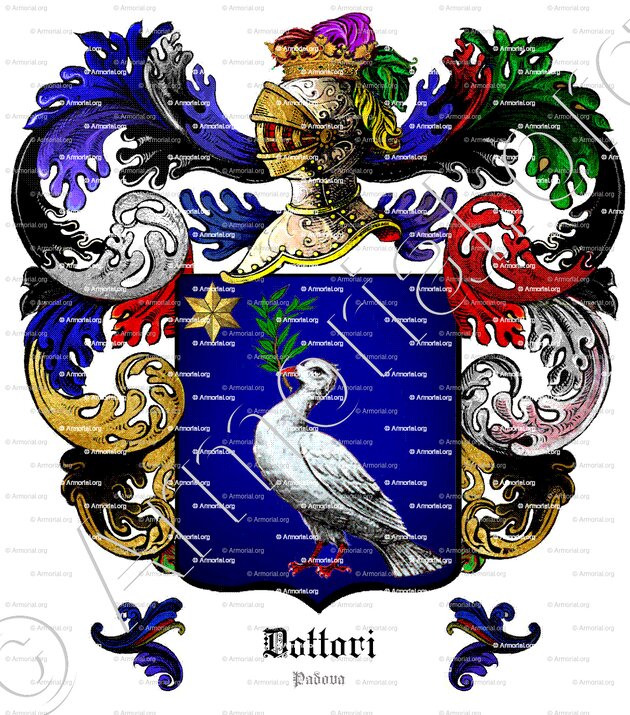 DOTTORI_Padova_Italia (1)
