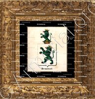 cadre-ancien-or-BROUWET_Armorial royal des Pays-Bas_Nederland