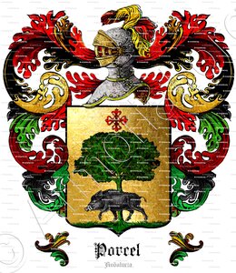PORCEL