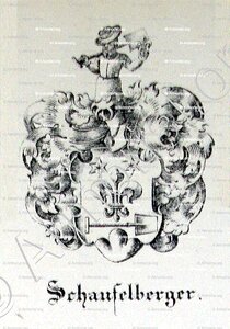 SCHAUFELBERGER