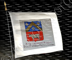 drapeau-BOVIS_Armorial Nice. (J. Casal, 1902) (Bibl. mun. de Nice)_France (i)