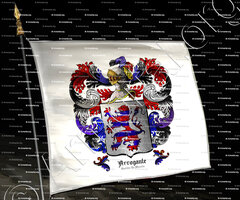 drapeau-ARROGANTE_Castilla-La Mancha_España..