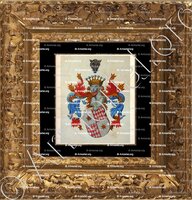 cadre-ancien-or-GRIMALDI de BEUIL_Armorial Nice. (J. Casal, 1903) (Bibl. mun. de Nice)_France (1)