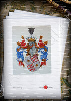 velin-d-Arches-GRIMALDI de BEUIL_Armorial Nice. (J. Casal, 1903) (Bibl. mun. de Nice)_France (1)