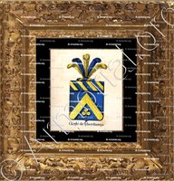 cadre-ancien-or-CHARLE DE TYBECHAMPS_Armorial royal des Pays-Bas_Europe