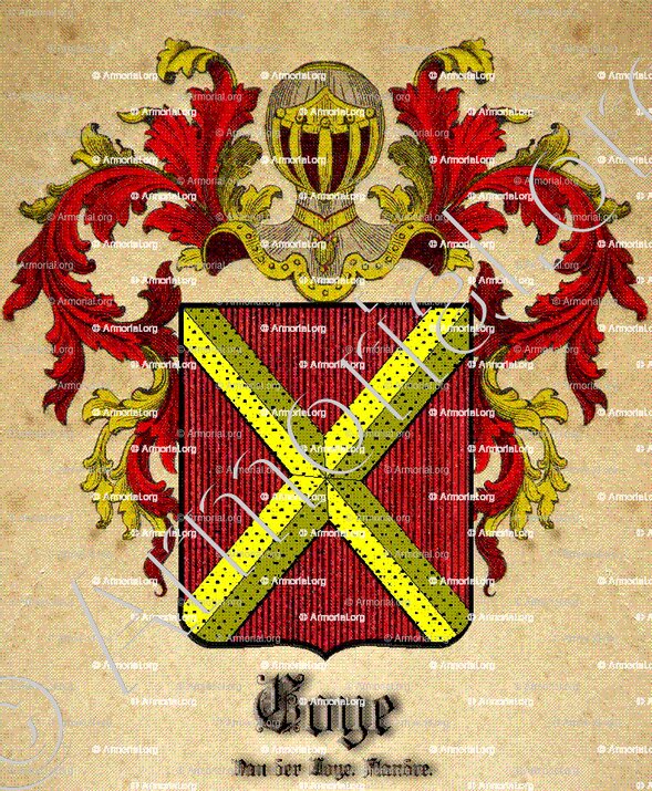 COYE_ Flandre_ Belgique
