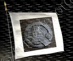 drapeau-MENDOG ou MINDAUGAS_Vilnius_Lietuvos (Lituanie) (4)