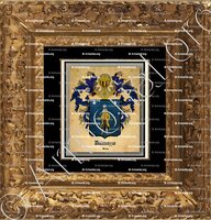 cadre-ancien-or-DALMAZZO_Cuneo_Italia (ii)