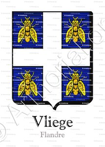 VLIEGE