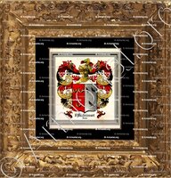 cadre-ancien-or-d'AMBRICOURT_Dambricourt, Flandre_France (ii)