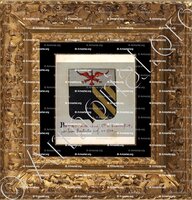 cadre-ancien-or-BRUNO Comte de Tournefort_Armorial Nice. (J. Casal, 1902) (Bibl. mun. de Nice)_France (i)