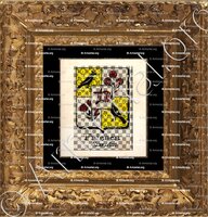 cadre-ancien-or-Friesen__