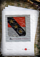 velin-d-Arches-BUSCHETTI de Chieri_Armorial Nice. (J. Casal, 1902) (Bibl. mun. de Nice)_France (i)