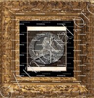 cadre-ancien-or-VYTAUTAS_Vilnius_Lietuvos (Lituanie)