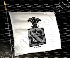drapeau-COLOMA_Armorial royal des Pays-Bas_Europe