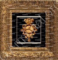 cadre-ancien-or-WAWRZECKY_Vilnius_Lietuvos (Lituanie) (2)