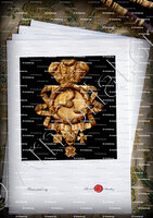 velin-d-Arches-WAWRZECKY_Vilnius_Lietuvos (Lituanie) (2)