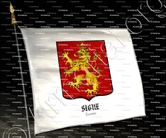 drapeau-SIGNE_Provence_France