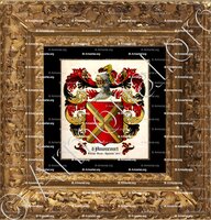 cadre-ancien-or-d'AMONCOURT