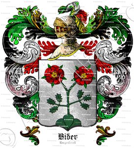 BIDER