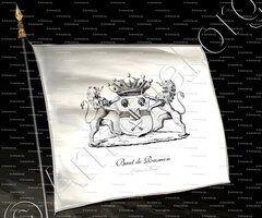 drapeau-BAUT de RASMON_Gand, Gent._Belgique, België