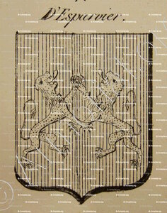 D'ESPARVIER