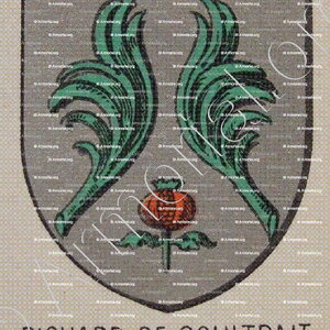 RICHARD DE SOULTRAIT_Bourbonnais_France (1)