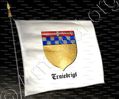 drapeau-ERNIEDRIGT_Heraldry, Heraldik, Heraldiek, Heráldica._Blason
