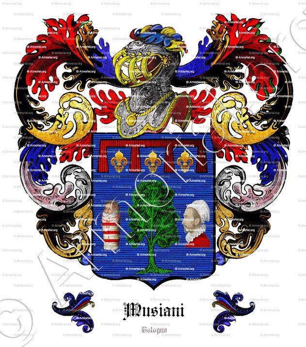 MUSIANI_Bologna_Italia (2)