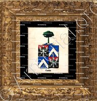 cadre-ancien-or-CUSTIS_Armorial royal des Pays-Bas_Europe