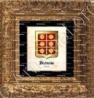 cadre-ancien-or-DEALMEIDA_Guarda_Portugal (2)