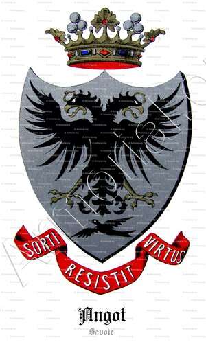 ANGOT_Armorial et Nobiliaire de l'Ancien Duché de Savoie (Cte de Foras, 1863)_États de Savoie (original amélioré)