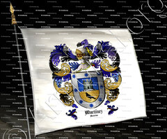 drapeau-MARTINEZ_Asturias_España (iv)