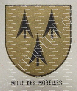 DES MORELLES ou MOREL