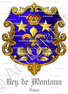 REY de MONTANA
