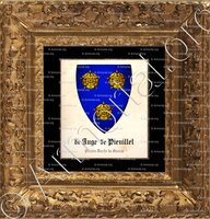 cadre-ancien-or-DE JUGE DE PIEUILLET_Haute-Savoie, Savoie. Ancien Duché de Savoie._États de la maison de Savoie