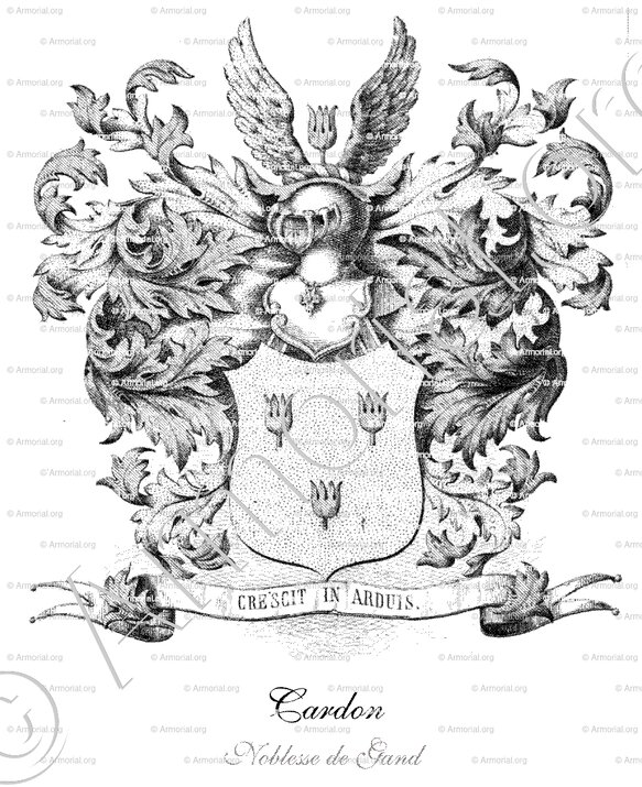 CARDON_Gand, Gent._Belgique, België