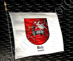 drapeau-RUIZ_Pamplona_España (i)