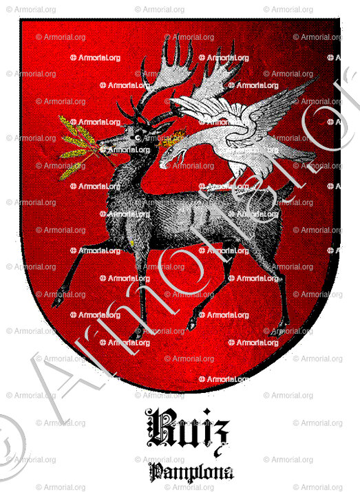 RUIZ_Pamplona_España (i)