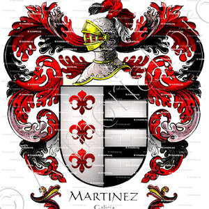 MARTINEZ_Galicia_España (iv)