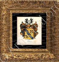 cadre-ancien-or-SALMON_Bruxelles. Anoblissement par CharlesVI d'Autriche en 1739._Belgique