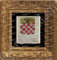 cadre-ancien-or-CAGNOLI (de Massouins)_Armorial Nice. (J. Casal, 1902) (Bibl. mun. de Nice)_France (i)