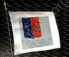 drapeau-CAILLE_Armorial Nice. (J. Casal, 1902) (Bibl. mun. de Nice)_France (i)