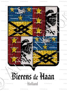 BIERENS DE HAAN