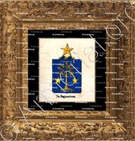 cadre-ancien-or-DE BAGENRIEUX_Armorial royal des Pays-Bas_Europe