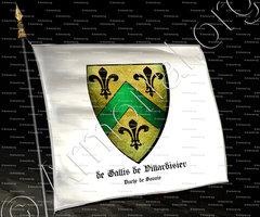 drapeau-de GALLIS de VILLARDISIER_Duché de Savoie. Ducato di Savoia. Piemonte Savoia._France Italia