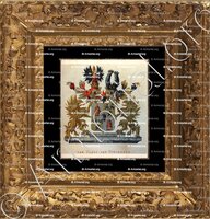 cadre-ancien-or-Van PABST van BINGERDEN_Wapenboek van den Nederlandschen Adel door J.B.Rietstap 1883 1887_Nederland