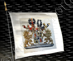 drapeau-Van PABST van BINGERDEN_Wapenboek van den Nederlandschen Adel door J.B.Rietstap 1883 1887_Nederland