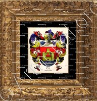cadre-ancien-or-GIL_Valle de Mena _España (HD)