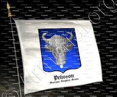 drapeau-PELISSON_Auvergne, Dauphiné, Savoie._France (1)